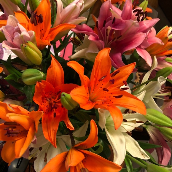 Meet your Posher, Thu - Picture 1 of 1